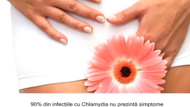 testul-rapid-chlamydia-cyclotest смотреть онлайн