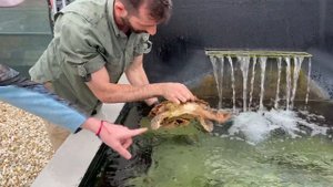 I Bought the World’s RAREST Aquarium Fish!