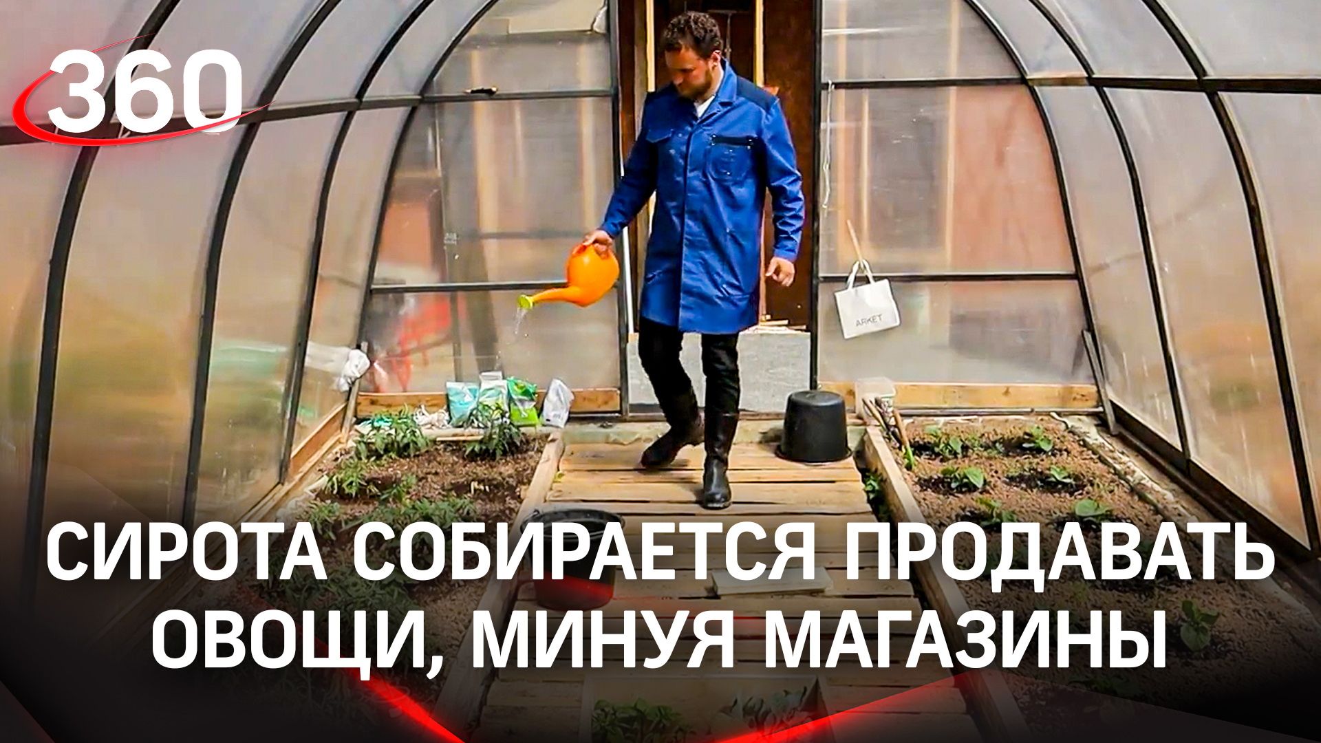 Огурцы прямо с грядки. Подмосковный сыровар Олег Сирота собирается продавать овощи, минуя магазины