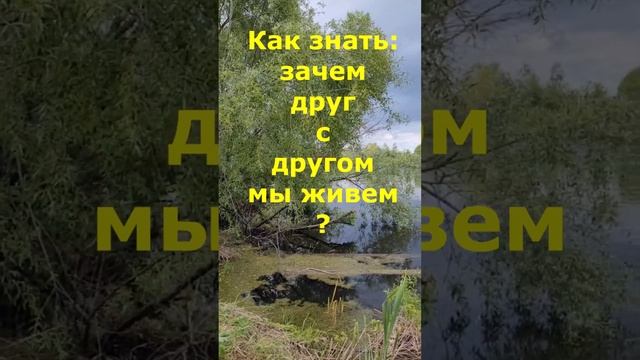 Стихотворение О. Никитиной "Нас всех друг другу посылает Бог"