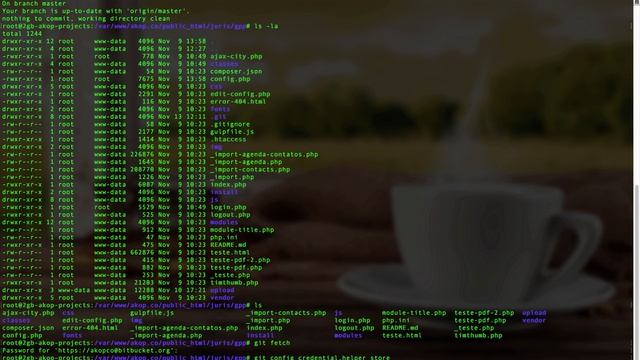 Como salvar a senha do GIT смотреть онлайн