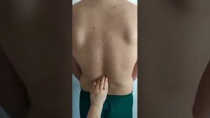 Кеуде клеткасының пальпациясы