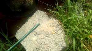 Дым пушка от клеща своими руками за 15 минут, пробный пуск.