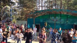 Вожатский флешмоб в лагере им. Гагарина