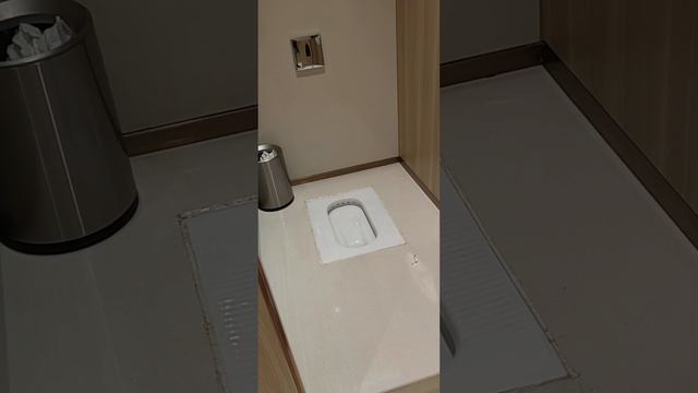 Неужели есть нормальный туалет в Китае #китай #русскиевкитае