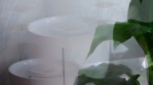 Отзыв на Увлажнитель воздуха Xiaomi Mijia Humidifier 2 Lite спустя 1 год. Плюсы и минусы