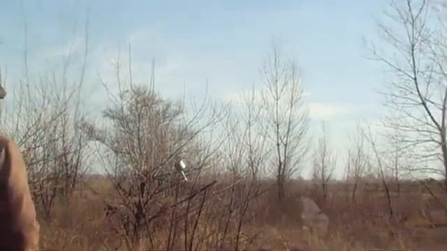 Самодельный самолет Арго. Набор максимальной высоты.