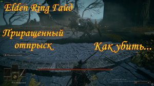 Elden Ring гайд Приращенный отпрыск как убить.