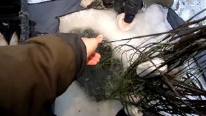 Пошла ЩУКА + ЛИНИ..! Проверка сети от FISHING PRO Геннадия! Рыбалка 2022!