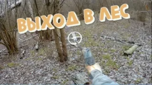 Коп в лесу с металлоискателем XP ORX.Поиск монет