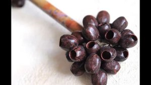 звучание маракаса из орехов кемири