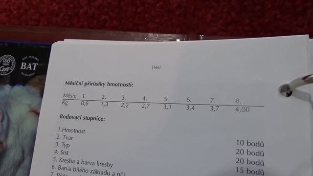 Взвешивание калифорнийских крольчат из многочисленных окролов/Привес Бургундских кроликов смотреть онлайн