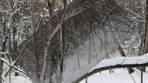 По заснеженному парку.