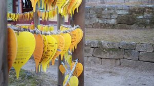 Красивая природа Кореи, Храм Хэинса и Трипитака Кореана! Путешествие по Корее с корейцем!