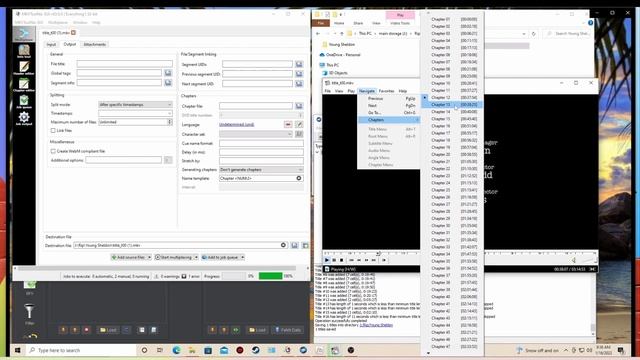 How to RIP DVD and Blu-ray TV Episodes with MakeMKV and MKVToolsNix Part 3 | Needy Cat Media смотреть онлайн