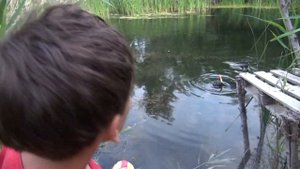 Подводная охота. Дон. Сухой Донец.