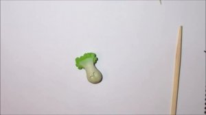 Лепим растения из игры Plants vs Zombies