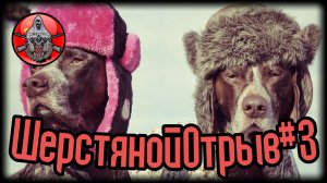 ШерстянойОтрыв#3