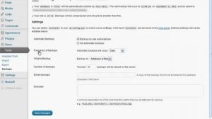 Free WordPress BackUp Plugin -  How To Video