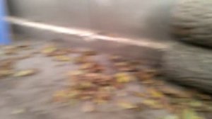 Пропуски зажигания в 4 цилиндре