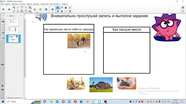 Что такое экология?