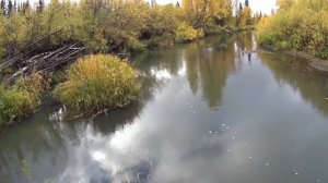 Осенняя рыбалка. Ловля хариуса на спиннинг в глухой тайге. Часть 1. Лесная изба. Таёжный быт