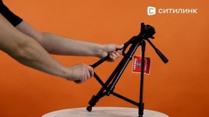 Обзор Штатива-трипода Rekam MOBIPOD E-140 | Ситилинк