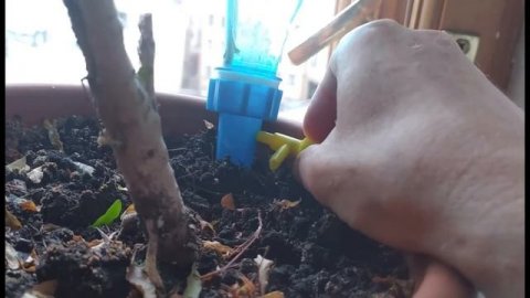 Автополив с регулировкой полива для комнатных растений