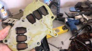 Замена пластины лепестковых клапанов на Mikatsu 9.9-20