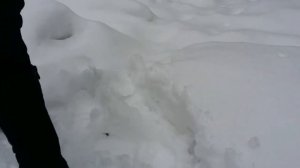 УЖАС, Вероника упала в обморок?