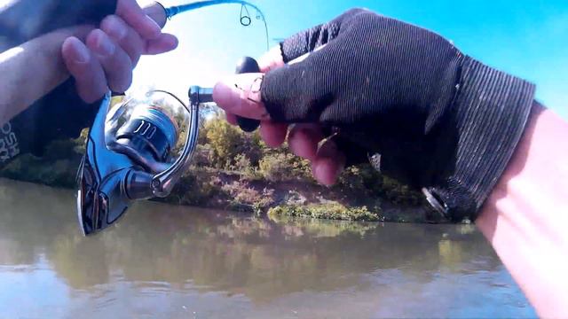 Клюет на каждом забросе !! Голавль на спиннинг в августе !! Воблер ШЕРШЕНЬ смотреть онлайн