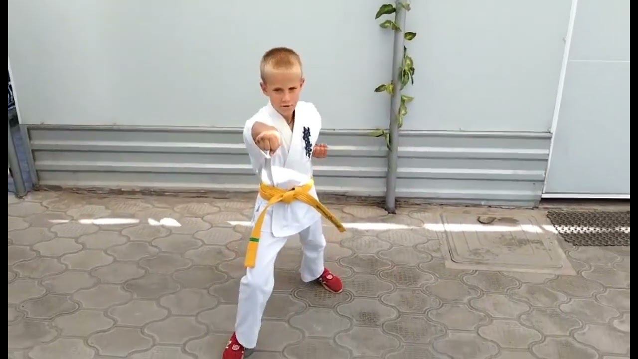 3 Ката Тайкиоку Соно Сан Киокушинкай каратэ смотреть онлайн