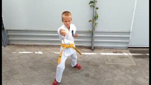 3 Ката Тайкиоку Соно Сан Киокушинкай каратэ