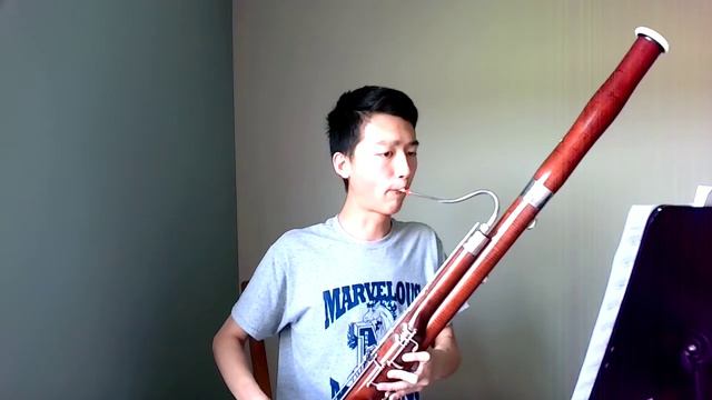 Telemann Bassoon Sonata in F Minor, Movement I смотреть онлайн