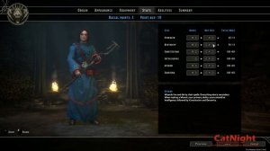 Sword Coast Legends In-Depth Character Creation