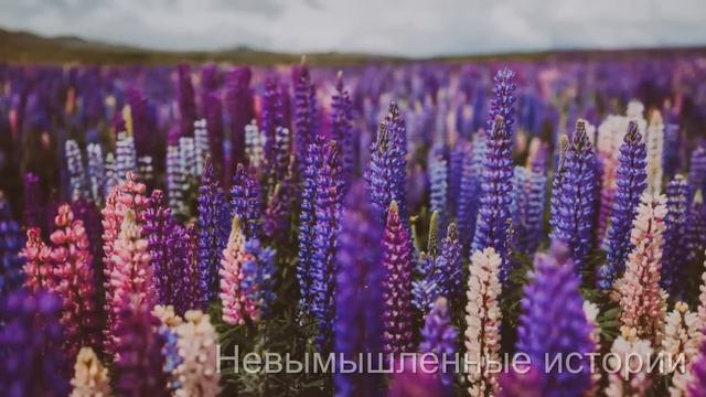 Катюша, ну зачем тебе нужен этот голодранец? смотреть онлайн