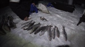 ПЯТЬ ДНЕЙ СЧАСТЬЯ \ ВПЕРВЫЕ НА ЗИМНЕЙ РЫБАЛКЕ \ Часть 2