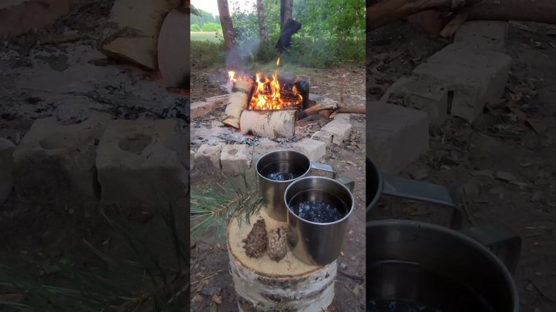 Без слов, без мыслей! Отдых на природе.
