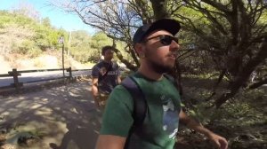 Moran Day 127 - Секвойи Сан-Франциско