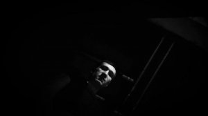 Дельфин - Вера