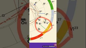 Что случилось с Региной Тодоренко?