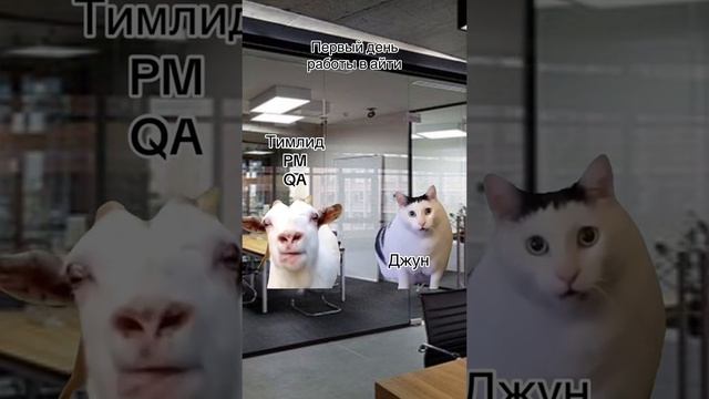 У вас так же в IT