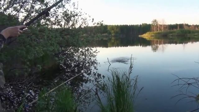 Ловля карася на озере Кривом смотреть онлайн