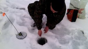 Ловля на жерлицы на Шерне