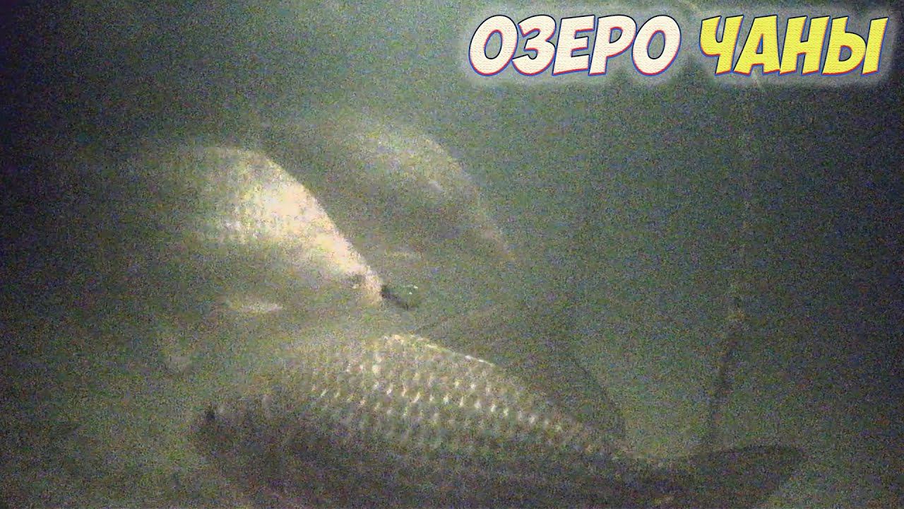 ПОД ВОДОЙ РЫБЫ КИШИТ !!! ЗИМНЯЯ РЫБАЛКА НА КАРАСЯ С НОЧЕВКОЙ смотреть онлайн