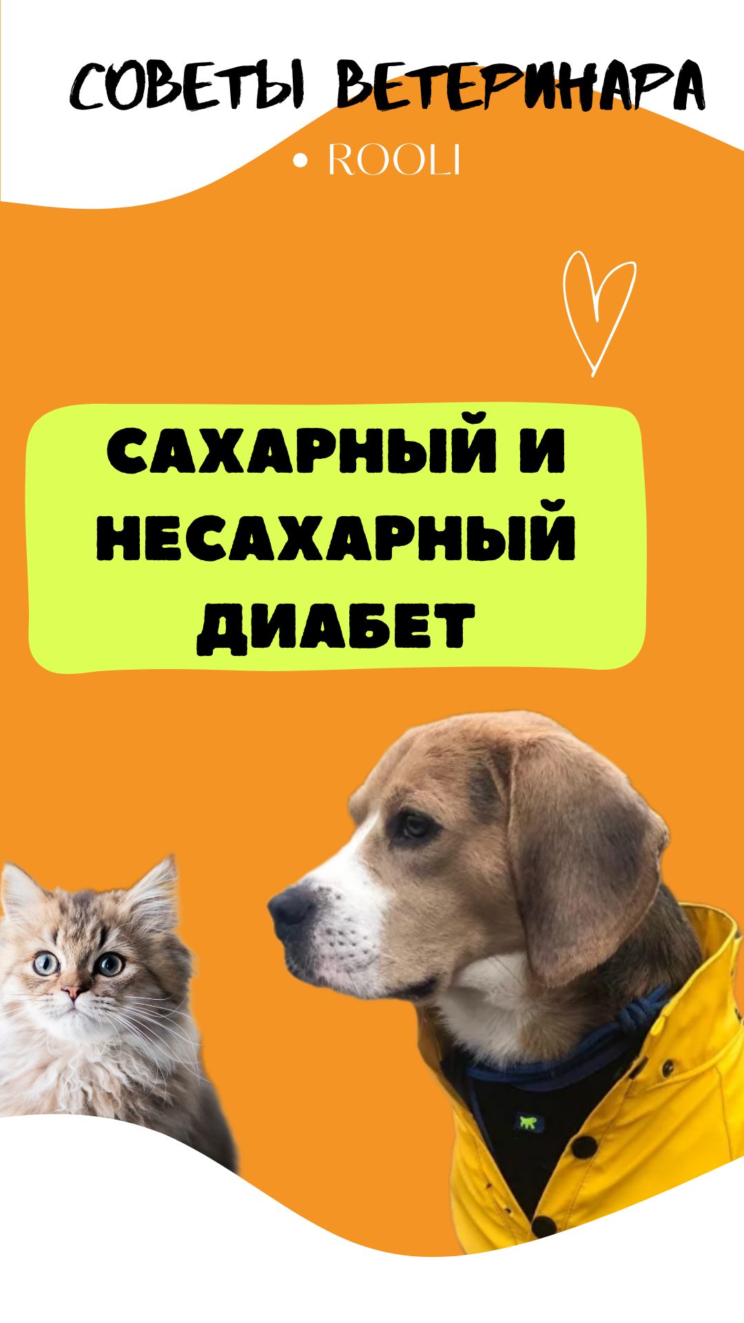 Сахарный и несахарный диабет у домашних животных. Разница. смотреть онлайн
