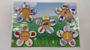 Органы чувств для детей