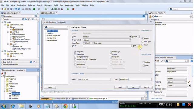 Entity Object - Attribute Settings and Configurations смотреть онлайн