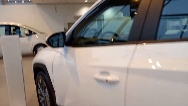 Хёндай. В наличии много Hyundai SantaFe!!! ??? За сколько можно взять Солярис? смотреть онлайн