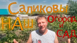 ???САД И ОГОРОД #САЛИКОВЫХ ! В КАКОМ ДОМЕ МЫ ЖИВЁМ #ЛУЧШЕЕ МЕСТО НА ЗЕМЛЕ ЭТО СТАНИЦА НОВОМИНСКАЯ.?